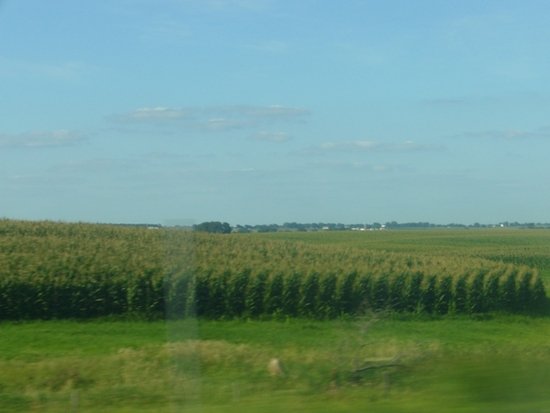 01 - The Cornfields of Iowa