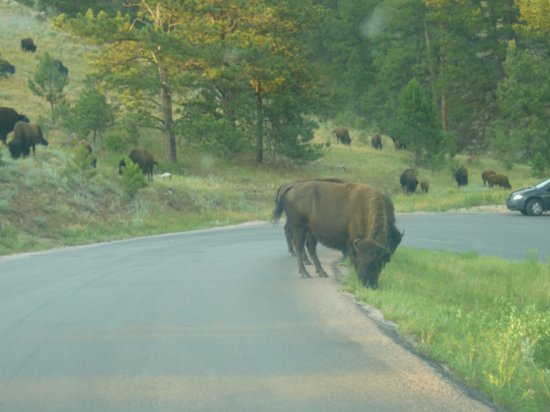 Um - can you please move, we'd like to go by