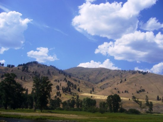 Rocky Mountain Foothills