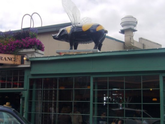 Bumble Bee Pig