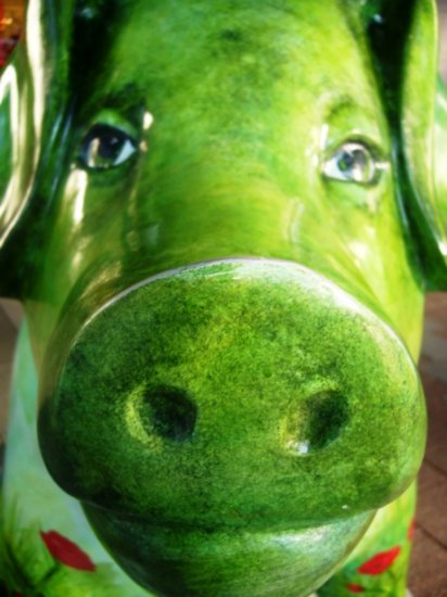 Pretty Green pig