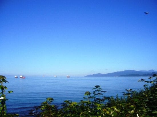 Barges and Float Plane