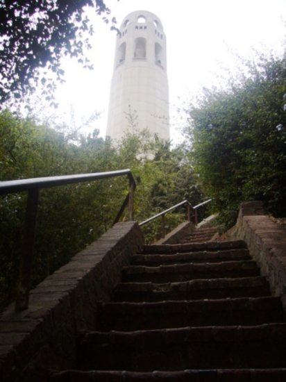 Looking back up at Coit tower