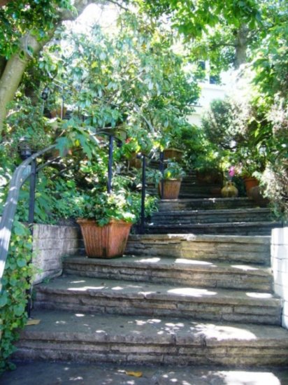 Charming Stairway in SF