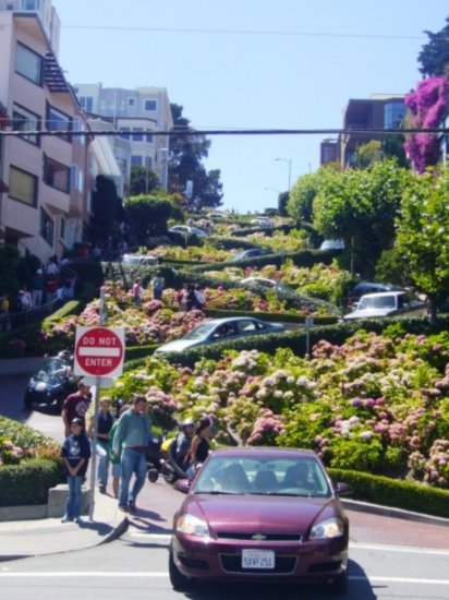 Looking back up at Lombard Street