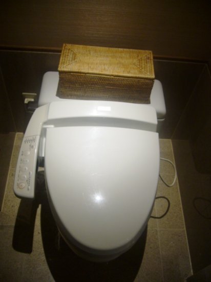 Hotel toilet seat