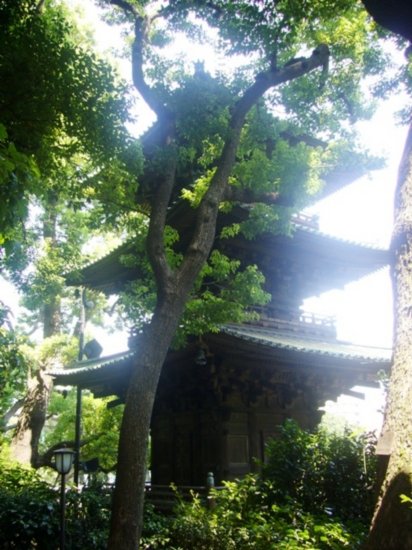 Three tiered pagoda