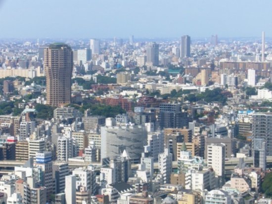 View from Tokyo tower