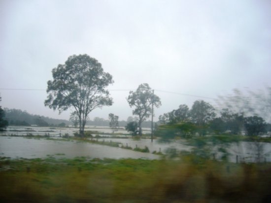 Flooded fields in Maroochydore