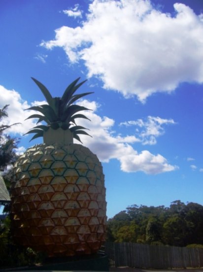 The BIG Pineapple