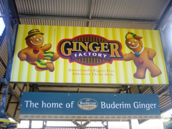 The Ginger Factory