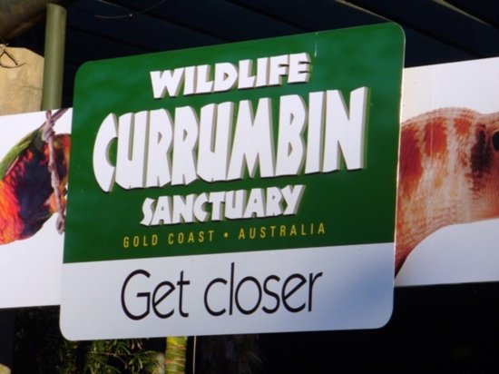 Visit to Currumbin Sanctuary