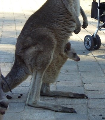 Where we going, mum?