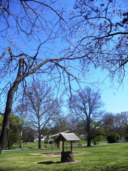 Leaves still haven't come out on trees