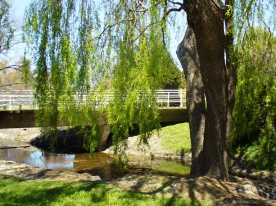 Pretty park in Glen Innes