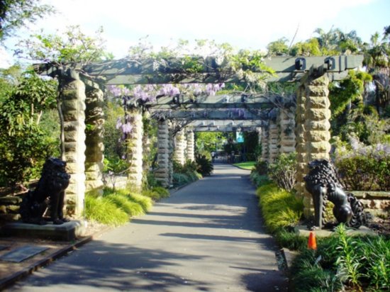 Footpath in the Botanical Gardens