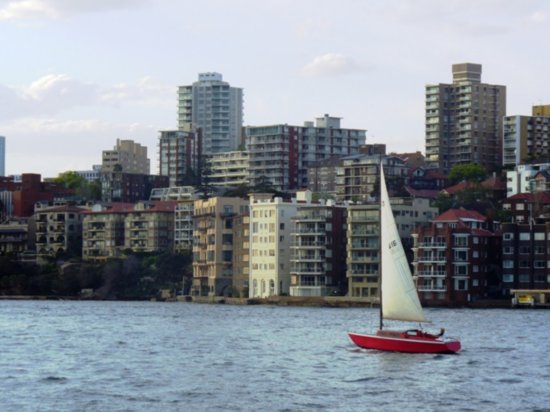 Little red sailboat in Sydney Harbour