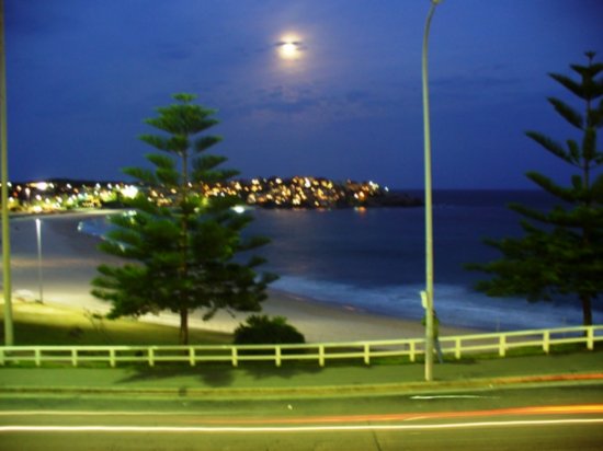 Moonlight from The Bondi Social Club