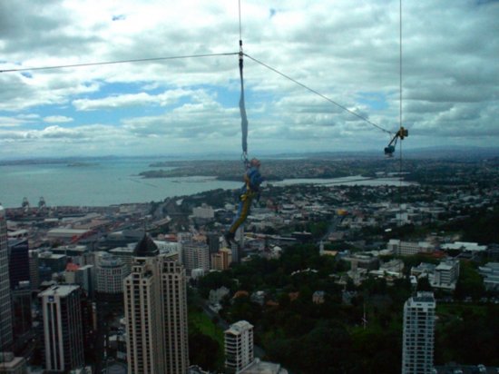 Look closely - sky diver falling off of Sky Tower