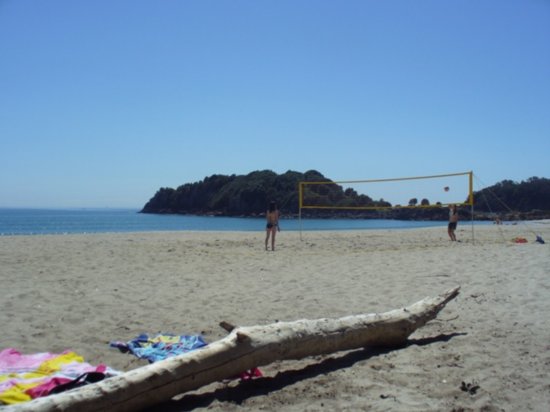 Volleyball on the beach