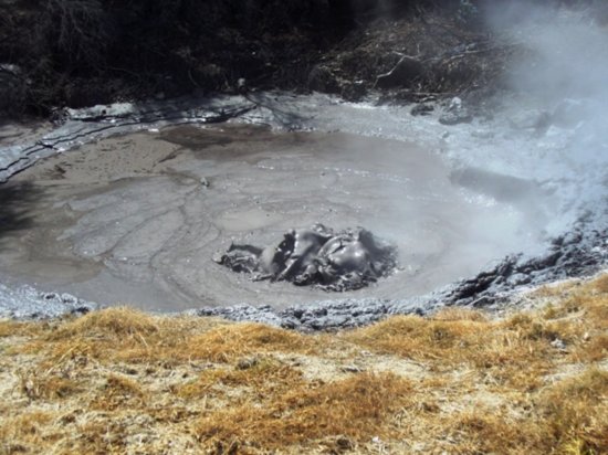 Bubbling mud pool