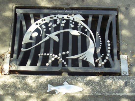 Interesting Grate