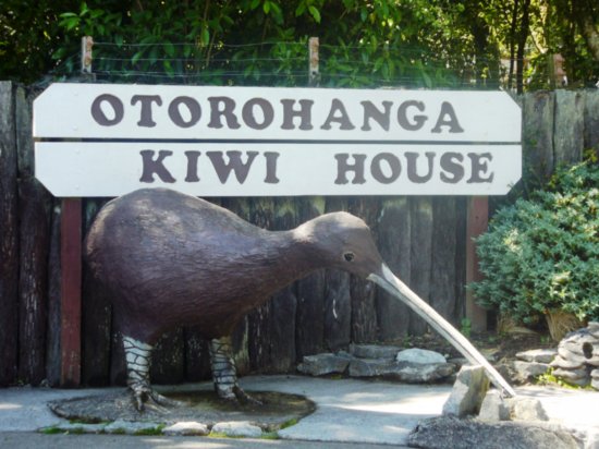 Kiwi House