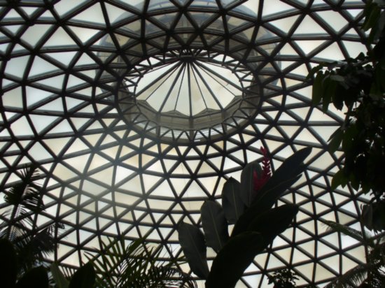 Dome at Botanical Gardens