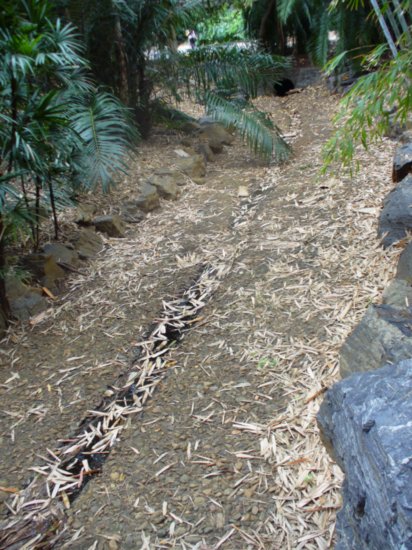 Dry Creek bed - they're everywhere!!!