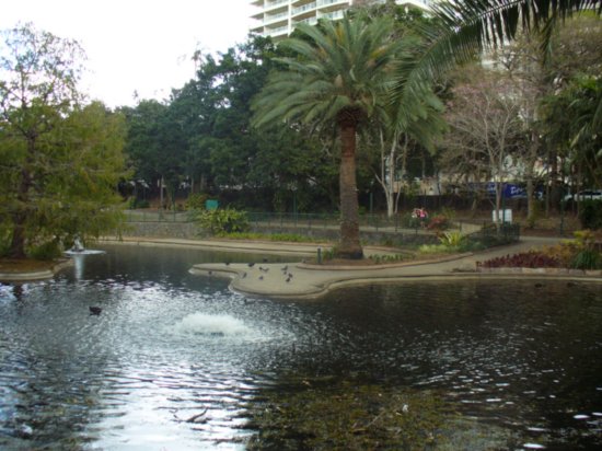 Pond at Botanical Gardens