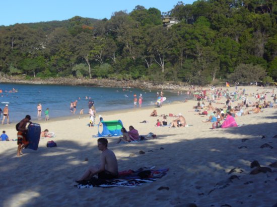 Noosa Beach