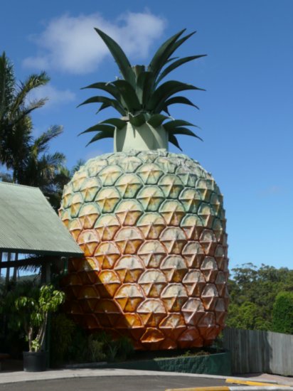 The Big Pineapple!