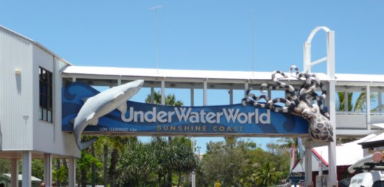 Underwater World!