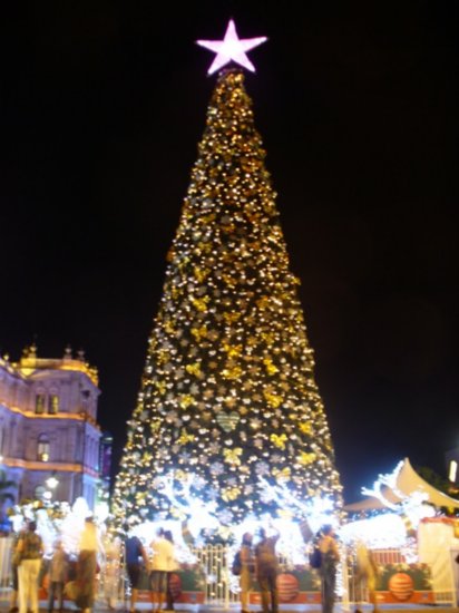 Brisbane city Christmas tree