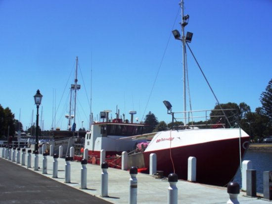 Ship Anchored