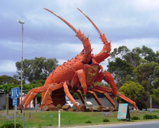 The 'BIG' Lobster in Kingston