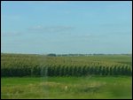 01 - The Cornfields of Iowa