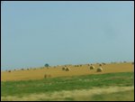 Bails of hay drying on the plains