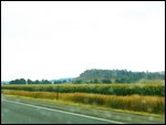 Through the rainy windshield