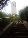 Looking back up at Coit tower