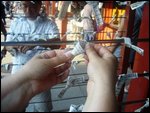 Tying Omikuji strip to 'tree'