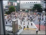 Shibuya Crosswalk