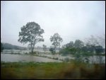 Flooded fields in Maroochydore