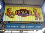 The Ginger Factory