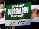 Visit to Currumbin Sanctuary