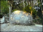 'The Rock' in O'Reilleys