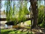 Pretty park in Glen Innes