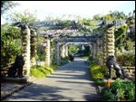 Footpath in the Botanical Gardens