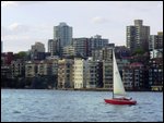 Little red sailboat in Sydney Harbour