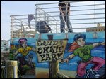 Skateboard park in Bondi beach